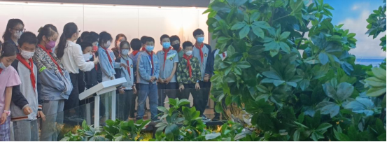 香港内部公开资料最准确